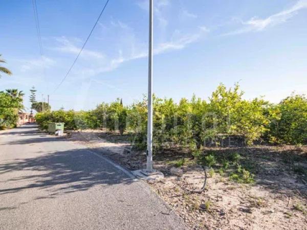 Terreno en Los Montesinos