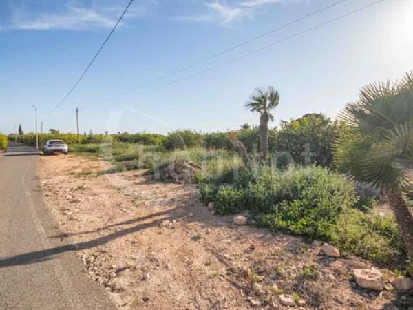 Terreno en Los Montesinos