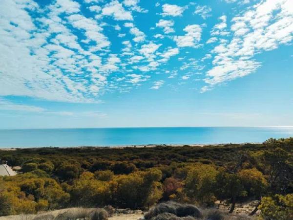 Terreno en calle Alacant