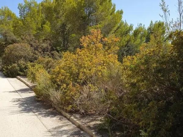 Terreno en calle de Auriga