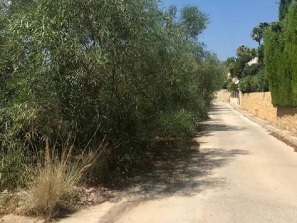 Terreno en calle de Auriga