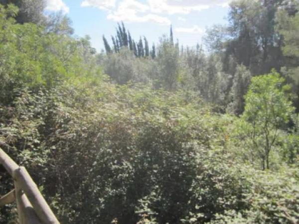 Terreno en calle de Auriga