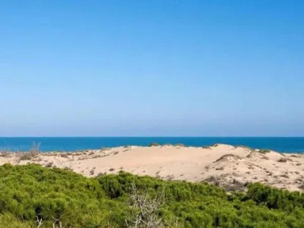 Terreno en calle Sant Emigdi