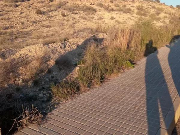 Terreno en calle de l'Andrita