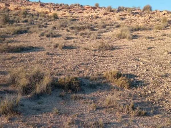 Terreno en calle de l'Andrita