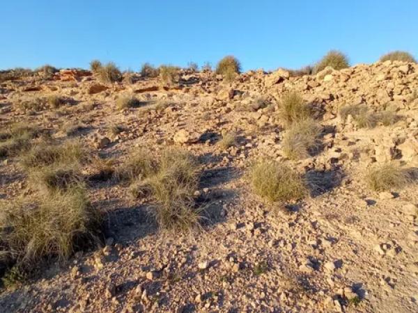 Terreno en calle de l'Andrita