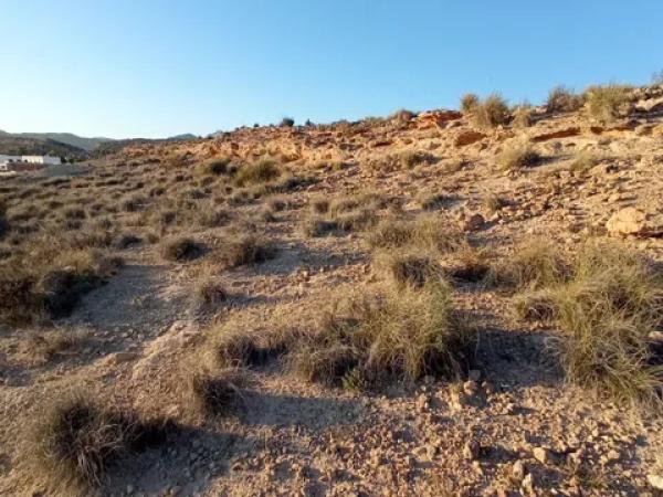 Terreno en calle de l'Andrita