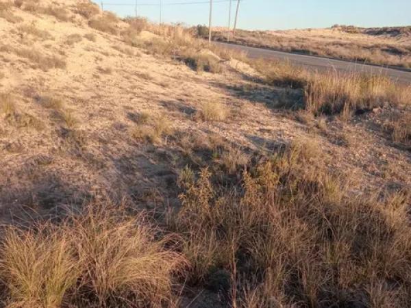 Terreno en calle de l'Andrita