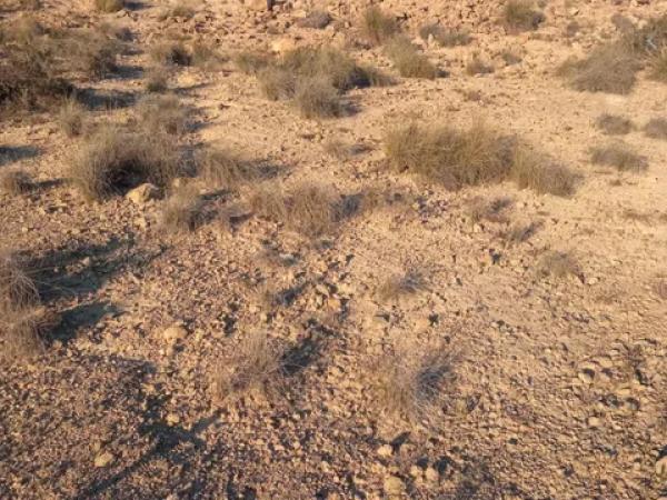 Terreno en calle de l'Andrita