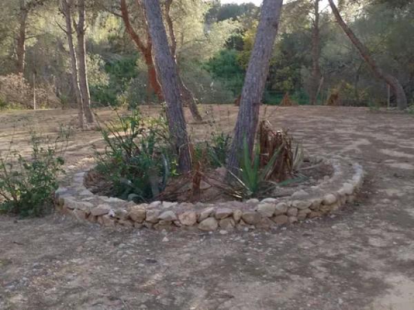 Terreno en Carretera, km 6