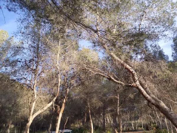 Terreno en Carretera, km 6