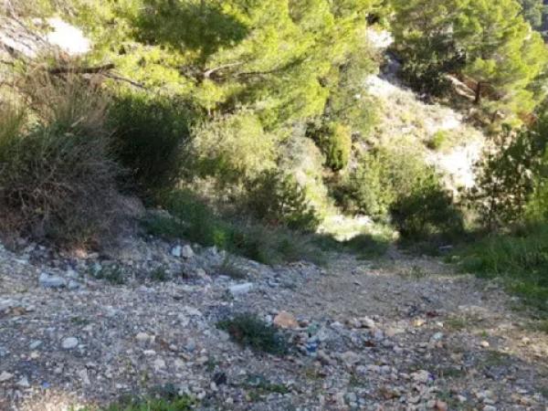 Terreno en calle Suiza