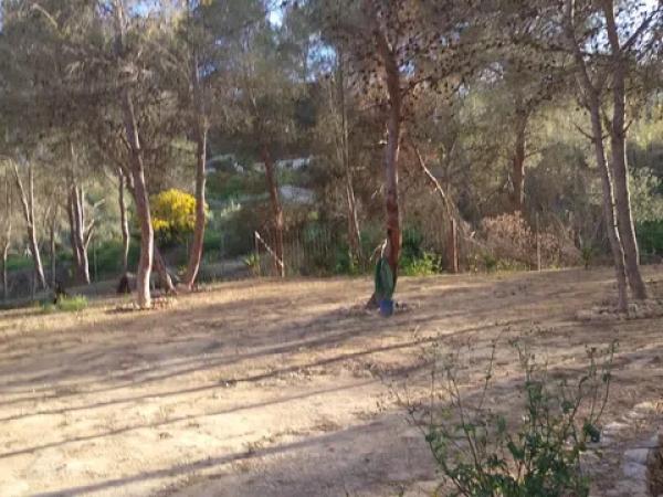 Terreno en Carretera, km 6