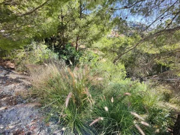 Terreno en calle Suiza