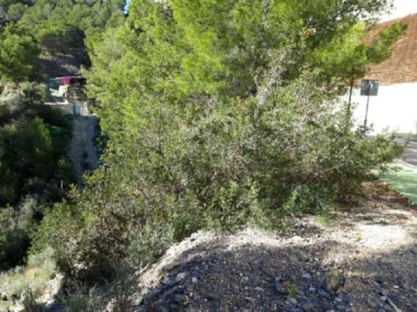 Terreno en calle Suiza