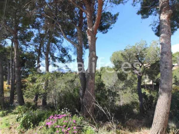 Terreno en calle el Capsot