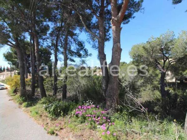 Terreno en calle el Capsot