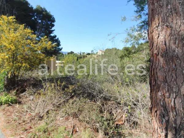 Terreno en calle el Capsot