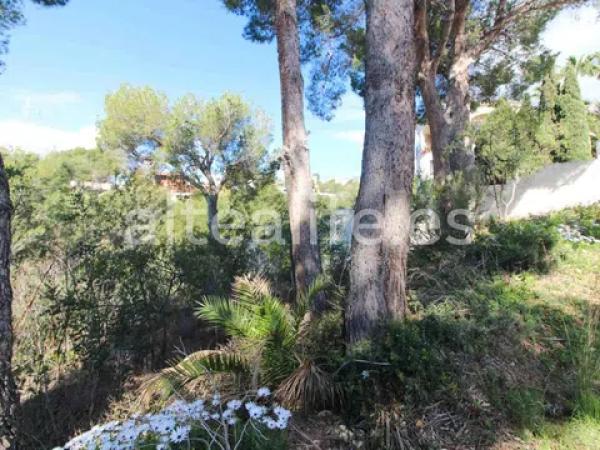 Terreno en calle el Capsot