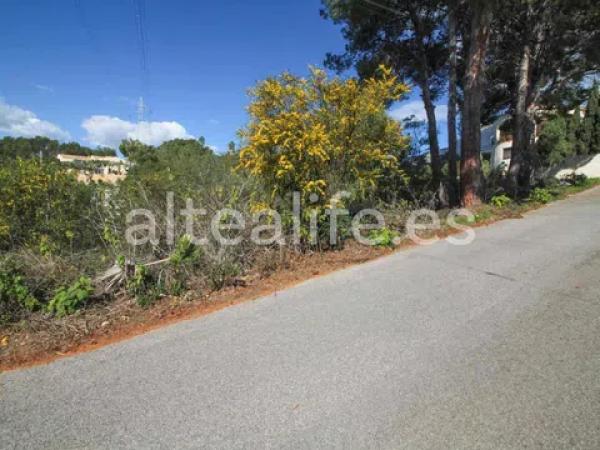 Terreno en calle el Capsot