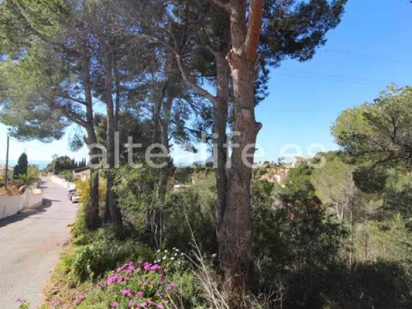 Terreno en calle el Capsot