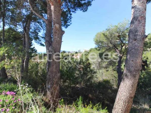 Terreno en calle el Capsot