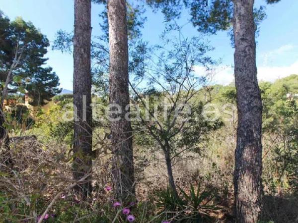 Terreno en calle el Capsot