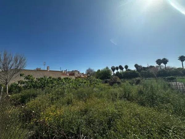 Terreno en avenida de Almoradí, 11