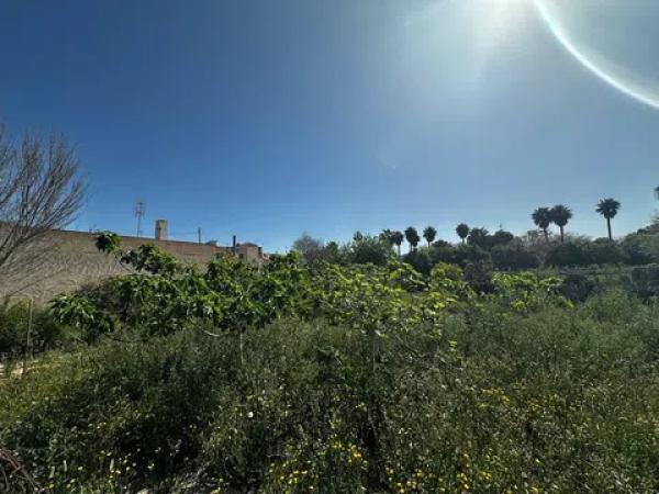 Terreno en avenida de Almoradí, 11