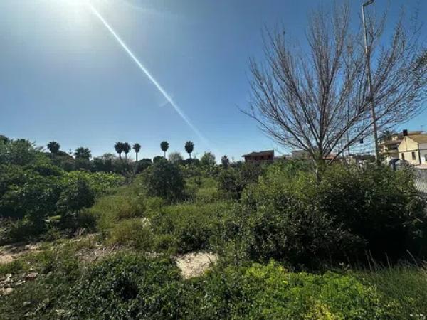 Terreno en avenida de Almoradí, 11