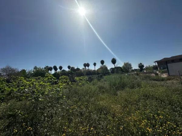 Terreno en avenida de Almoradí, 11