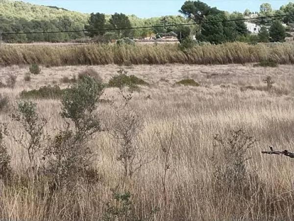 Terreno en calle Mar de Java