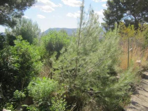 Terreno en Montgó - Ermita