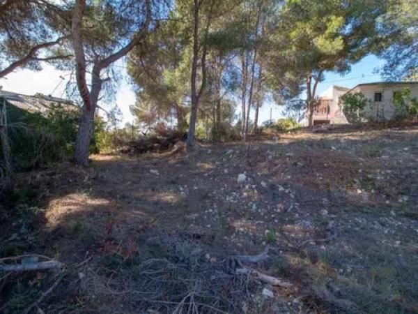 Terreno en Pinar de Advocat-Cometa