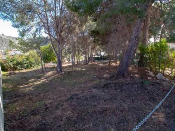 Terreno en Pinar de Advocat-Cometa