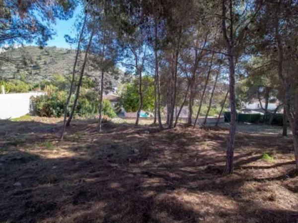 Terreno en Pinar de Advocat-Cometa