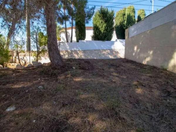 Terreno en Pinar de Advocat-Cometa