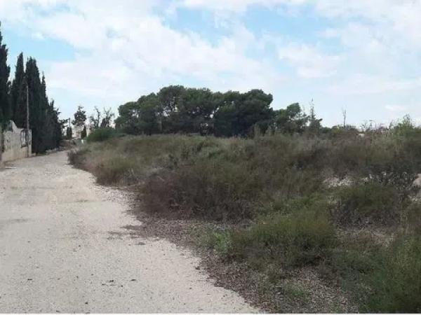 Terreno en Partida
