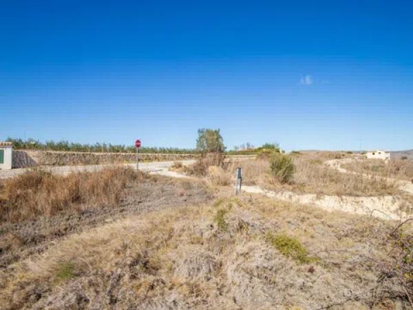 Terreno en camino Buseit, 15