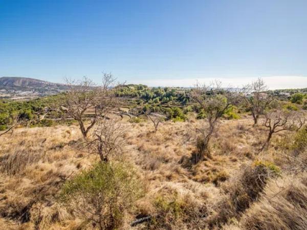 Terreno en camino Buseit, 15