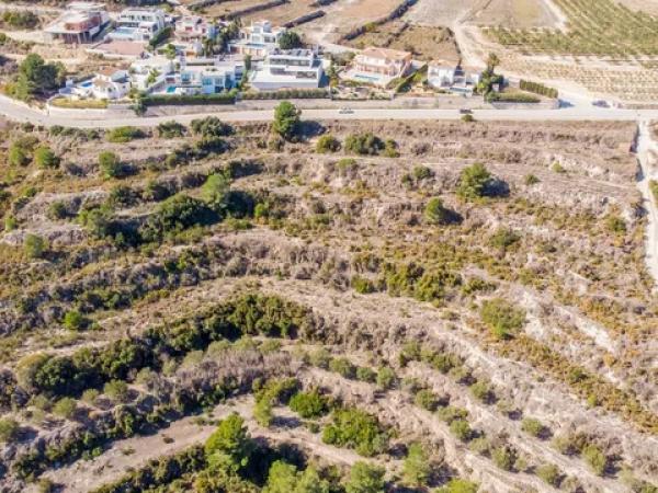 Terreno en camino Buseit, 15