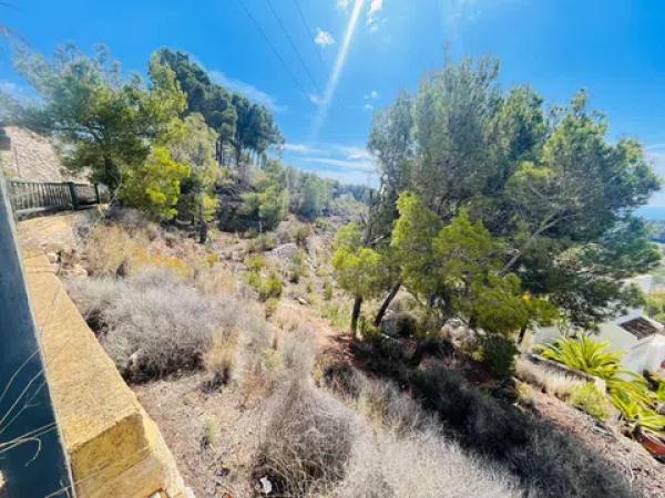 Terreno en calle Principal