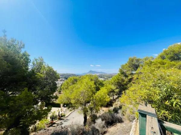 Terreno en calle Principal