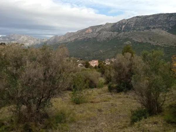 Terreno en diseminado s/n