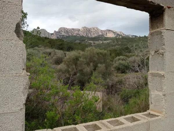 Terreno en diseminado s/n