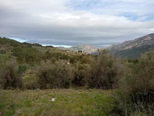 Terreno en diseminado s/n