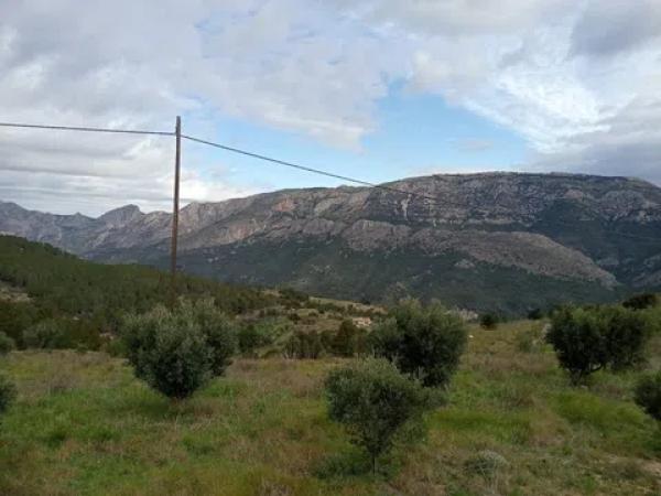 Terreno en diseminado s/n