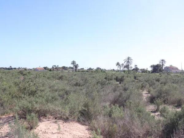 Terreno en Partida Perleta, 102