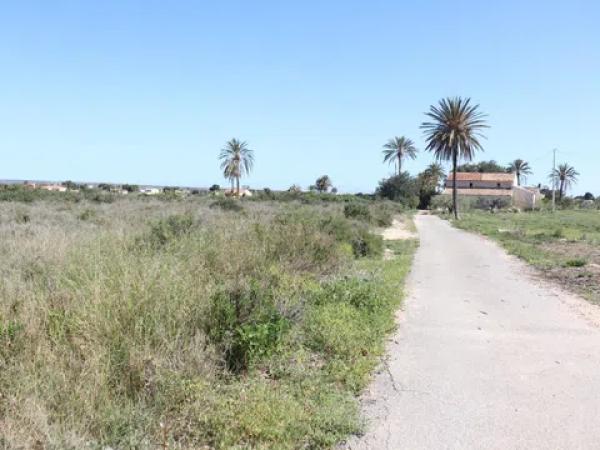 Terreno en Partida Perleta, 102