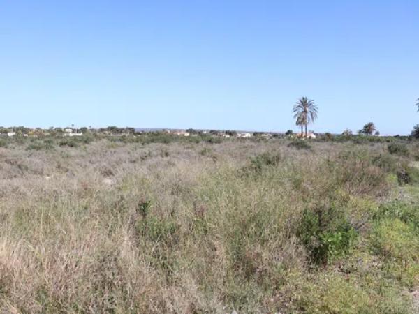 Terreno en Partida Perleta, 102